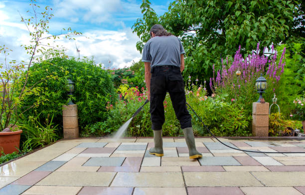 Best Fence Cleaning and Maintenance in Belle Plaine, MN